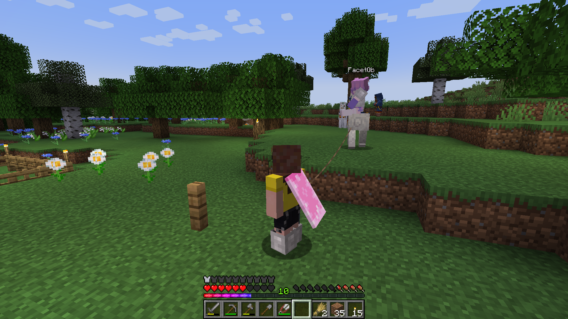 Alice reitet auf dem Lama, welches ich an einer Leine hinter mir her ziehe. Im Hintergrund sind ein fahrender Händler und ein weiteres Lama zu sehen.