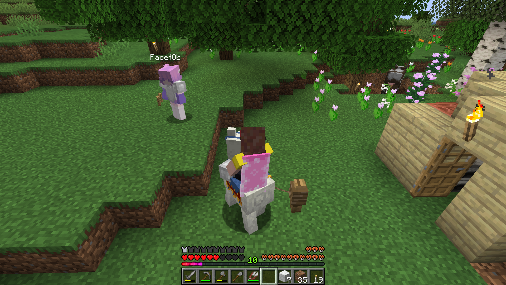 Ich reite auf einem Händlerlama, das an einem Zaunpfahl vor der Hütte angeleint ist. Alice steht ein Stück abseits daneben.