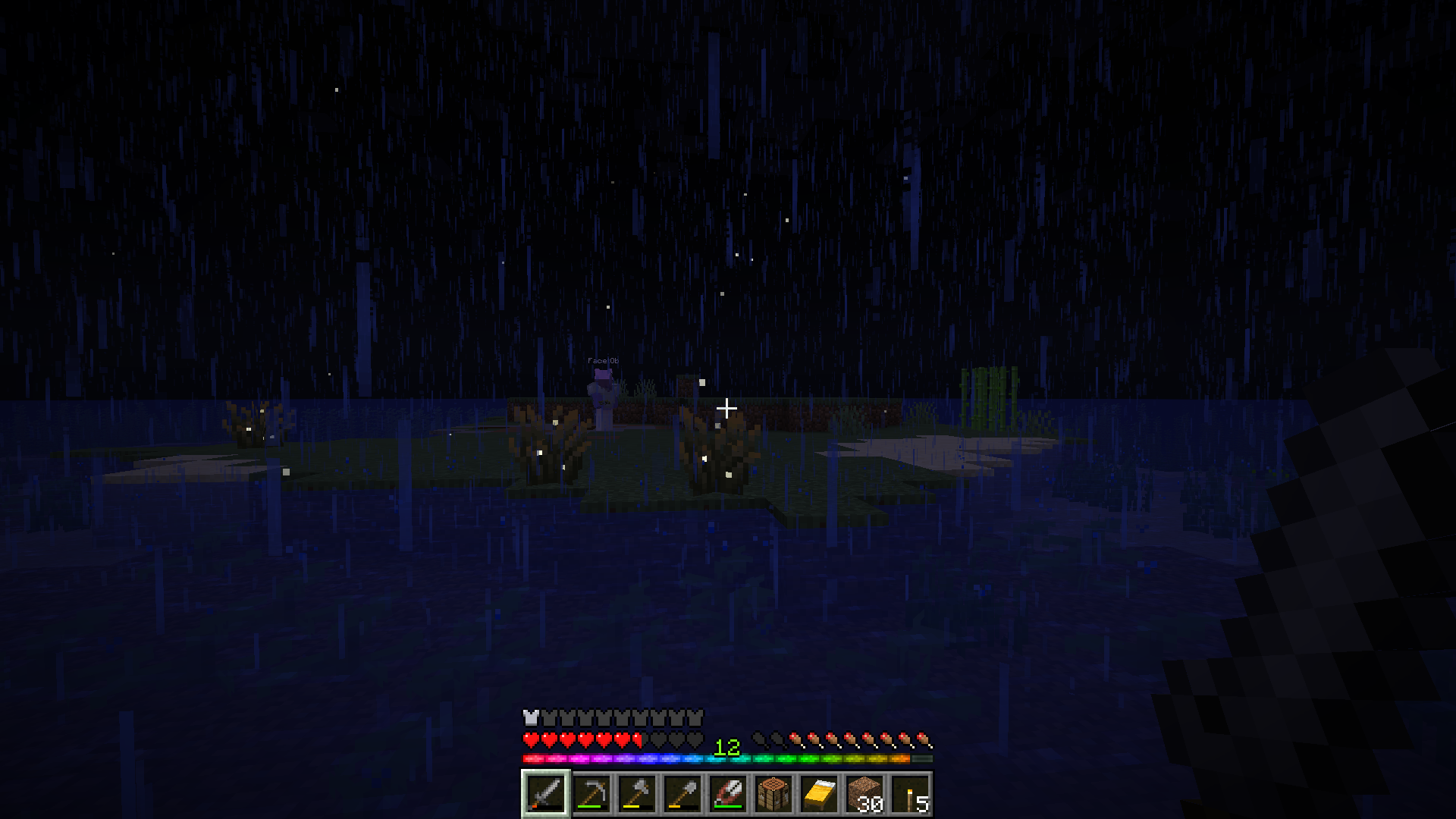 Eine kleine, flache Insel mit einigen Glühwürmchenbüschen und Zuckerrohr. Es ist Nacht und es regnet. Alice steht auf der Insel auf einer runden Fläche aus Kies.