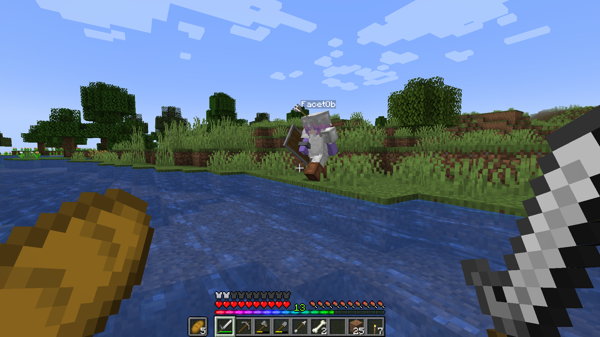 Alice steht kurz davor, einen Fluss zu überqueren. Sie trägt eine dreiteilige Eisenrüstung plus Lederstiefel und hält einen Schild. In ihrer Stirn steckt ein Pfeil.